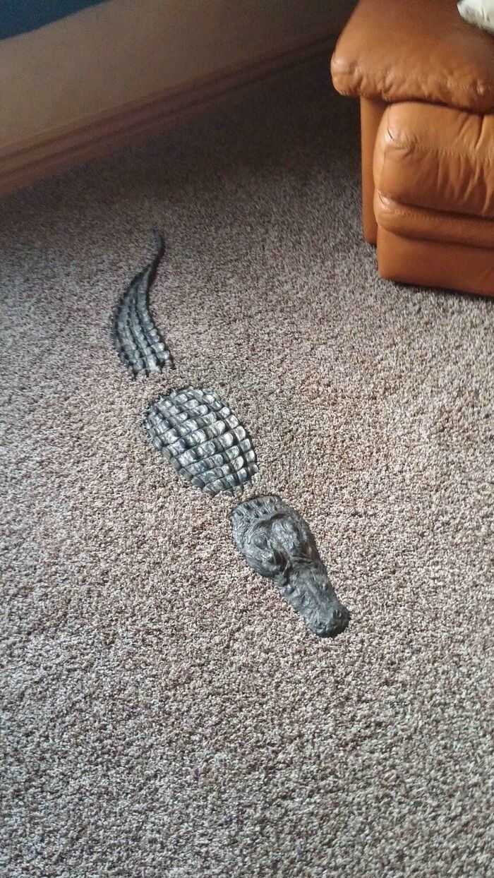 The Crocodile Rug Extension